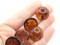 10 20mm Tortoise Shell Brown Vintage Lucite Plastic Round Flat Back Cabochons